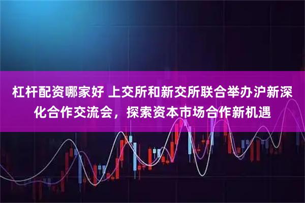 杠杆配资哪家好 上交所和新交所联合举办沪新深化合作交流会，探索资本市场合作新机遇