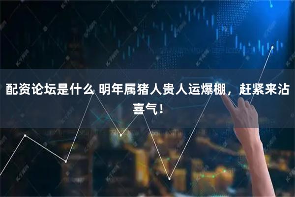 配资论坛是什么 明年属猪人贵人运爆棚，赶紧来沾喜气！