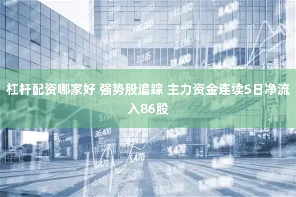 杠杆配资哪家好 强势股追踪 主力资金连续5日净流入86股